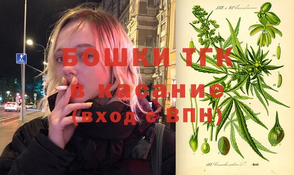 прущие крисы Аркадак