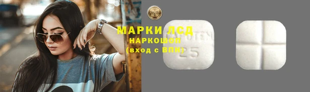 прущие крисы Аркадак
